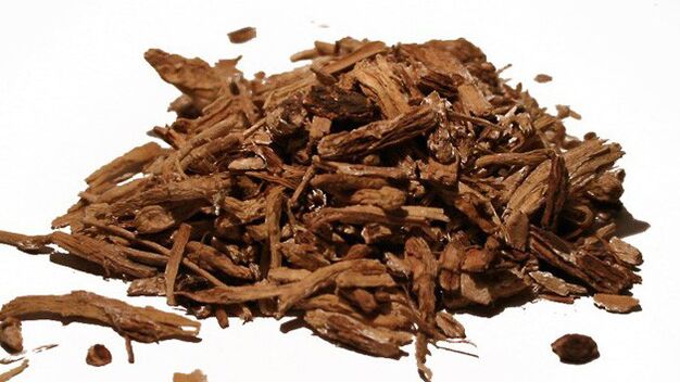 Tsikoria in MICHICOA